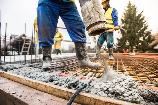 Best Concrete Sealing and Maintenance in Trinity, FL